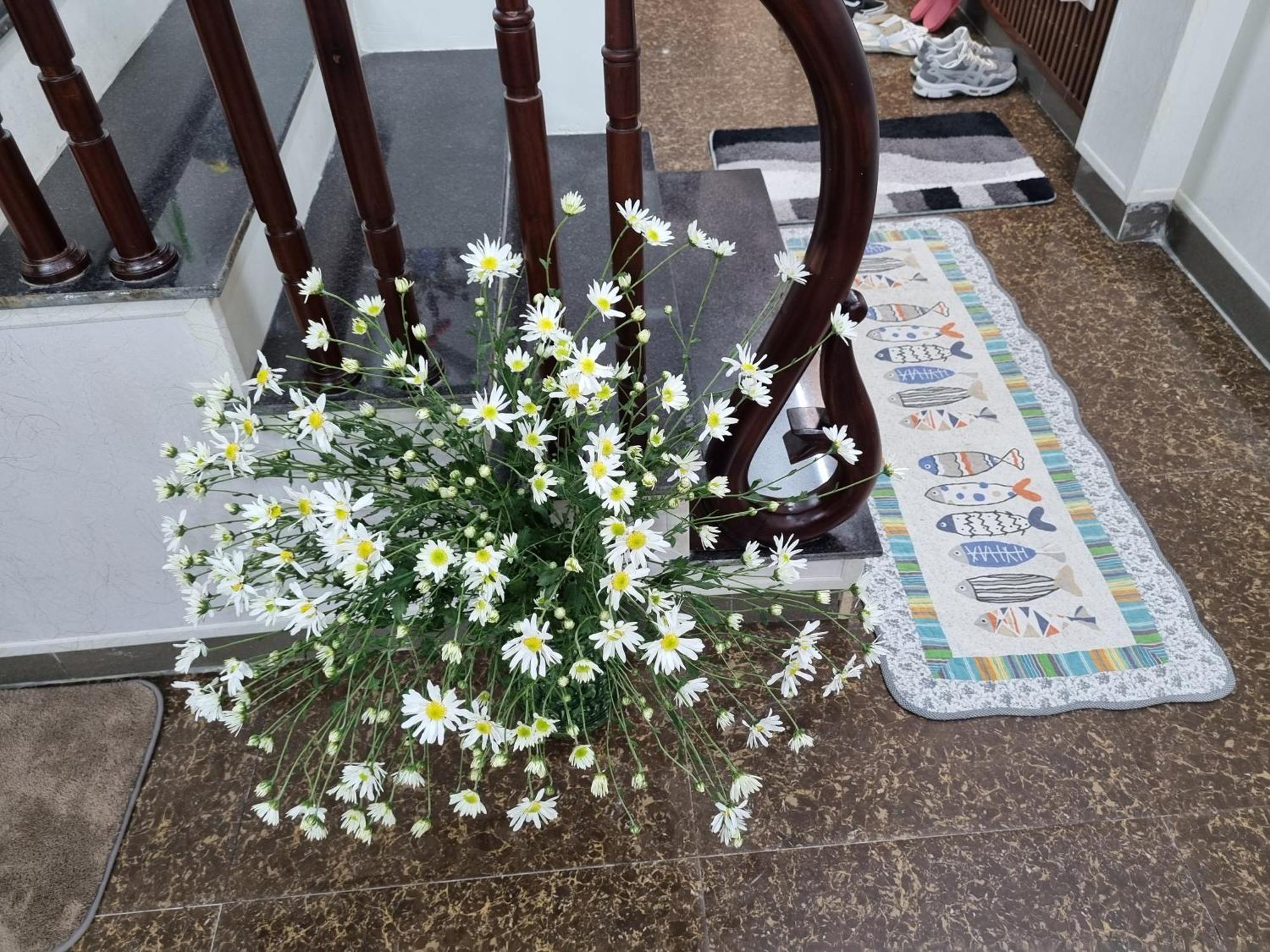 May'S Cottage Ανόι Εξωτερικό φωτογραφία